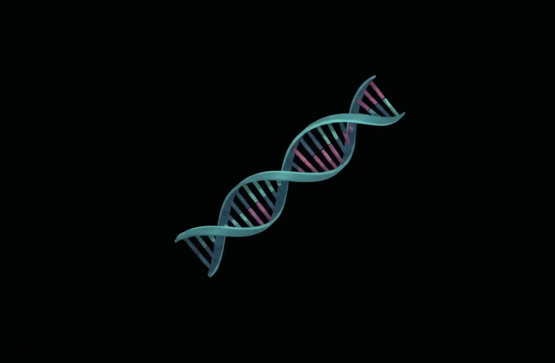 algAI Animated Logo